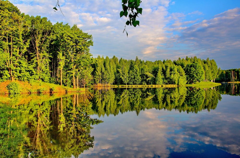 Photograph by Виталий Симоненков