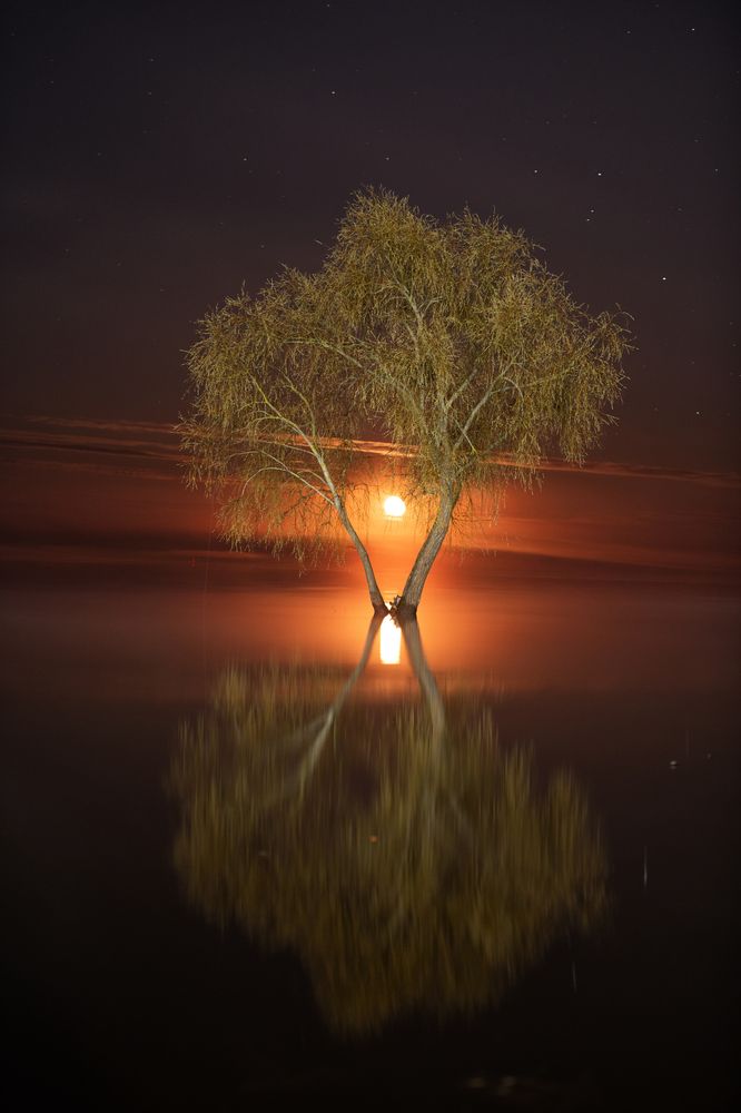 Photograph by Третьякова Анастасия