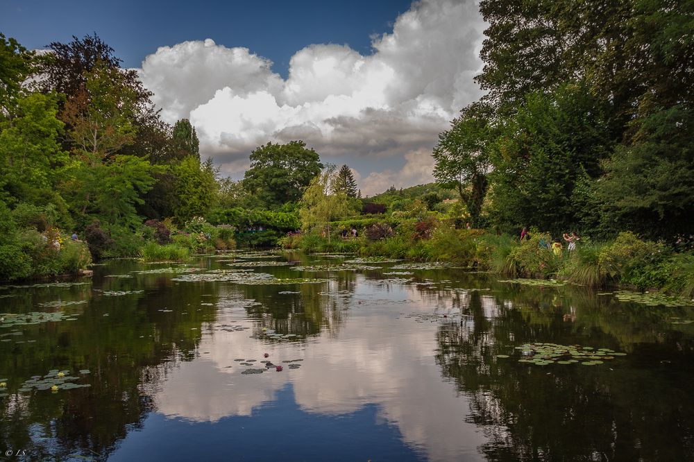 “Nel giardino dell’acqua”