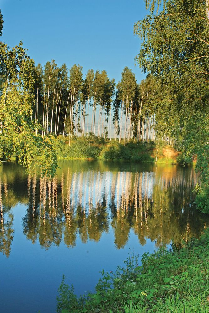 Photograph by Илья Чирков