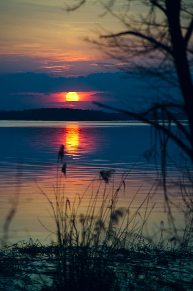 Фотография автора Анатолий Пищулин