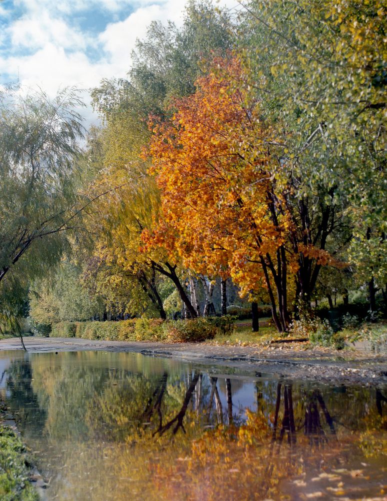 Отражение осени