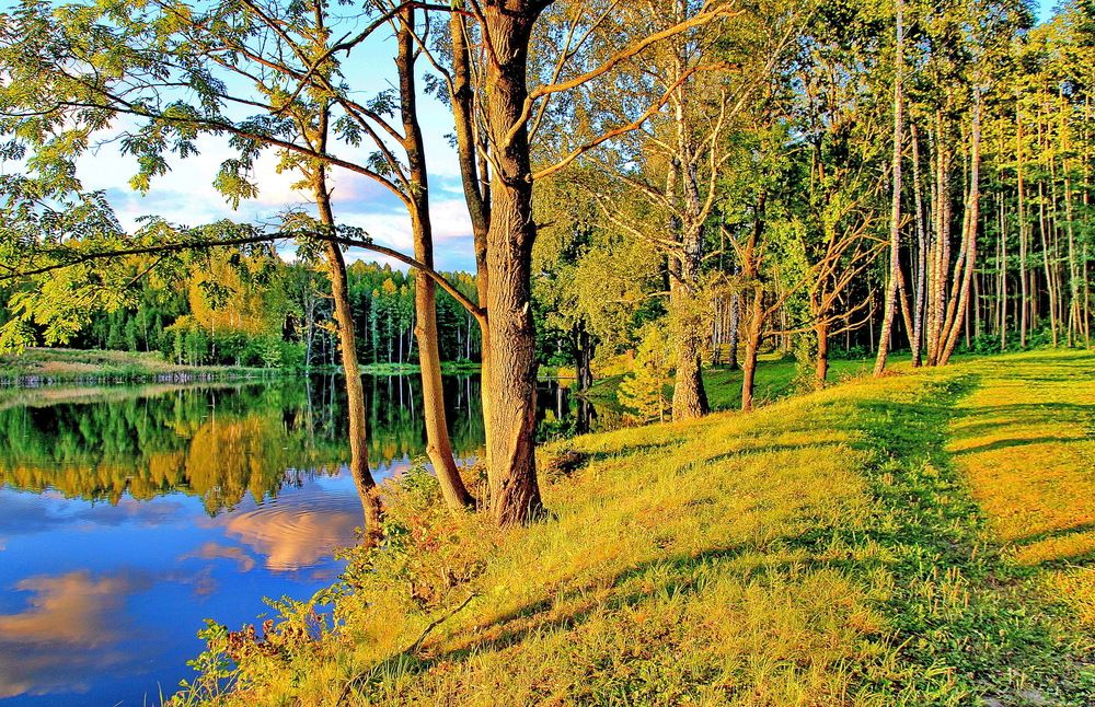 Photograph by Виталий Симоненков