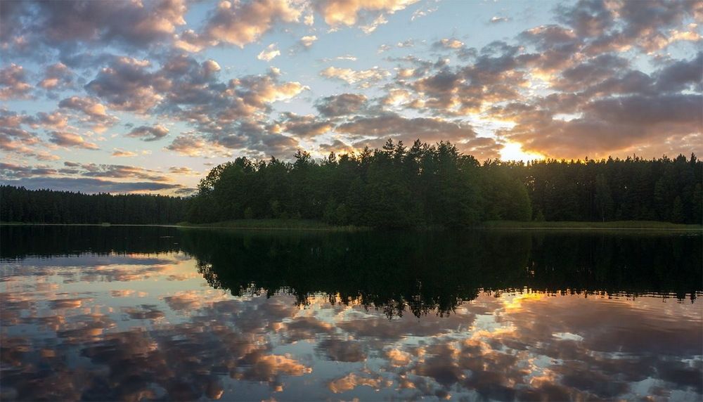 Фотография автора Борис Журавлёв