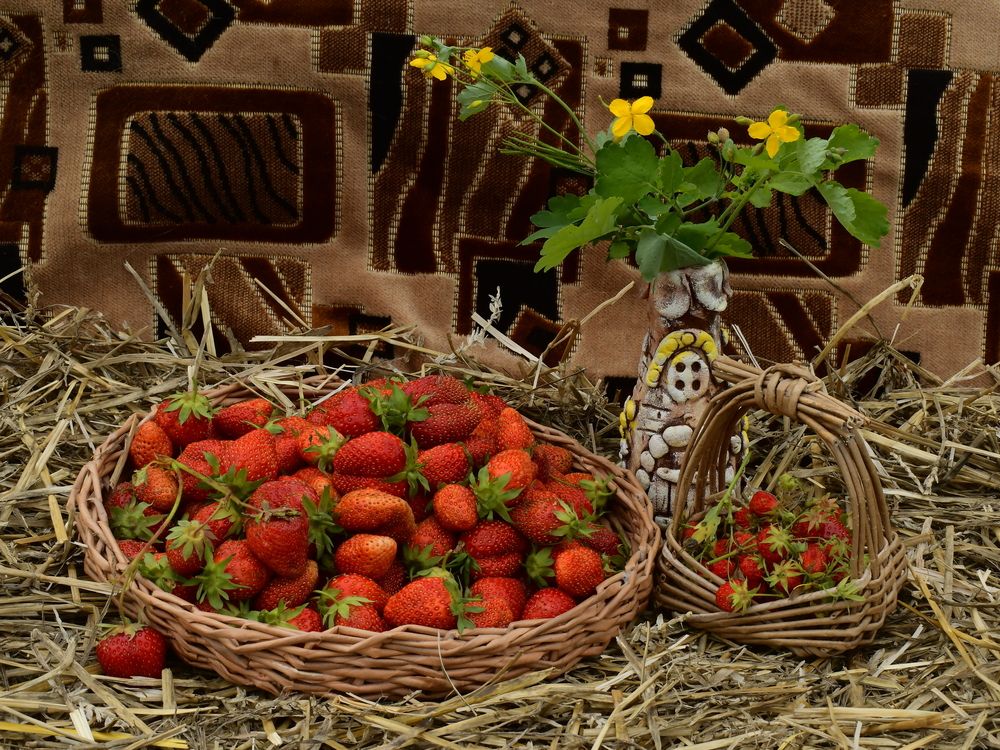 Photograph by Николай Абакумов