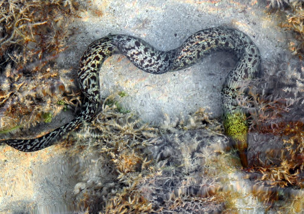 Photograph by вячеслав милов