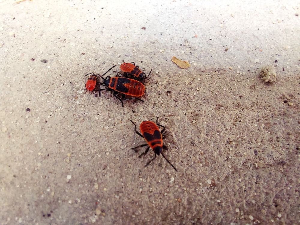 Photograph by Виктория Воронкова