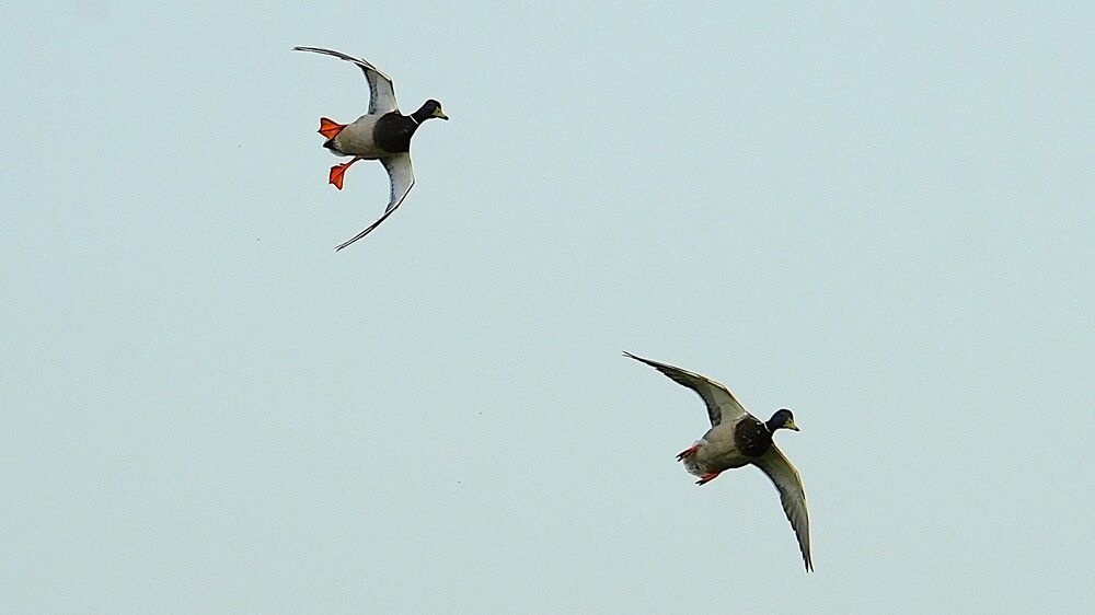 Photograph by Михаил Трусов