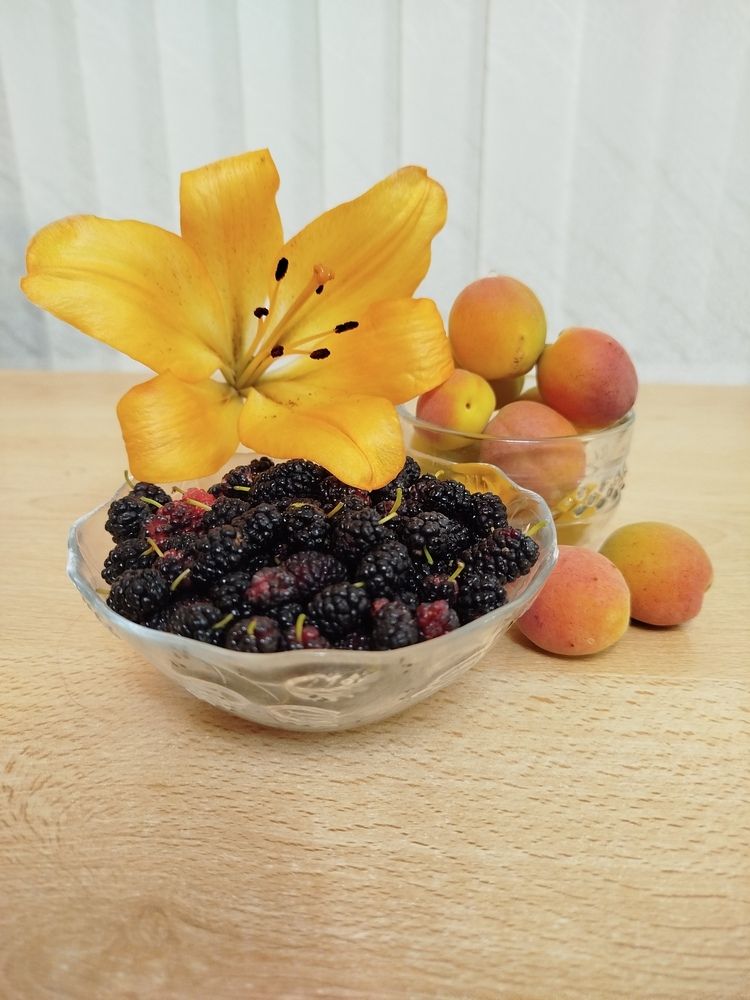 Photograph by Елизавета Слесарева