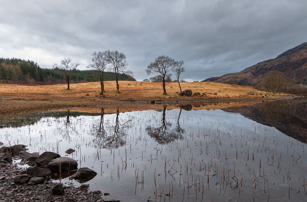 Photograph by Галина Юдина