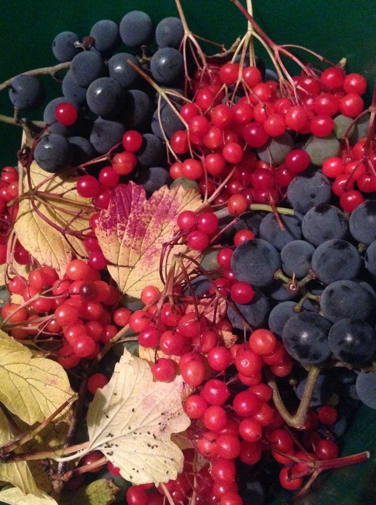 Фотография автора Olga Andriuc