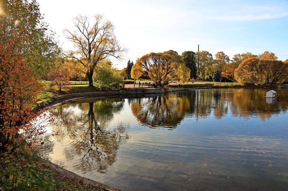 Москва, Главный Ботанический Сад.