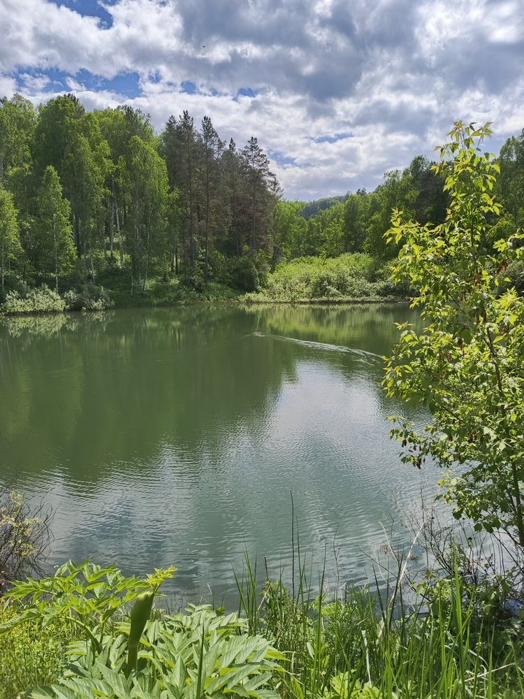 Фотография автора Ольга Петрова