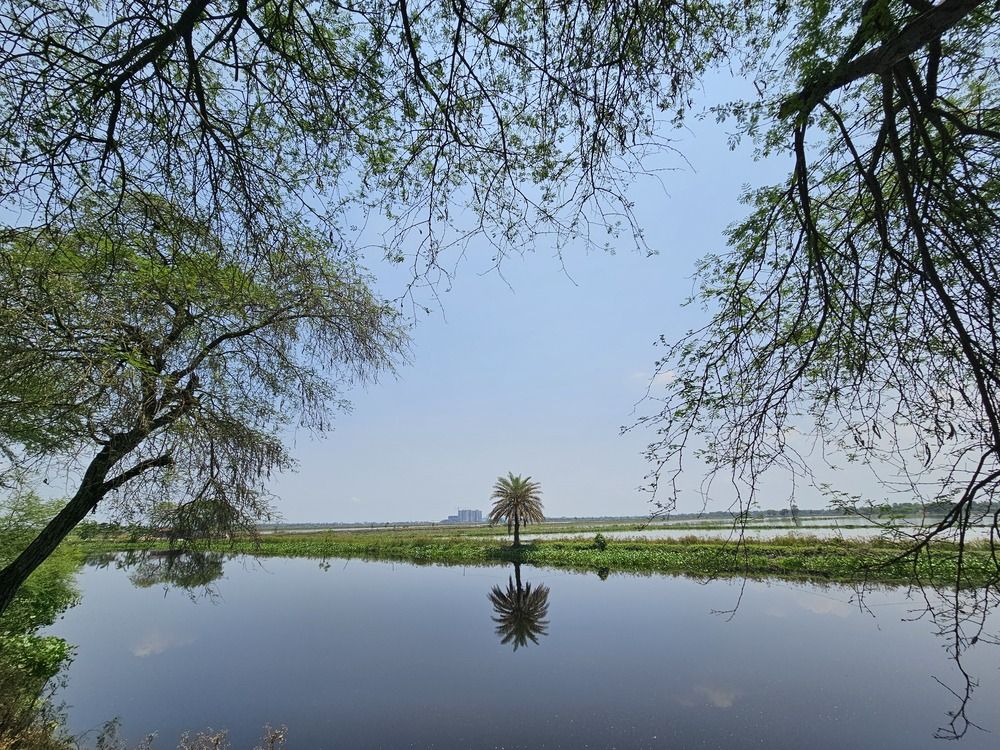 Photograph by Suriyadip Das