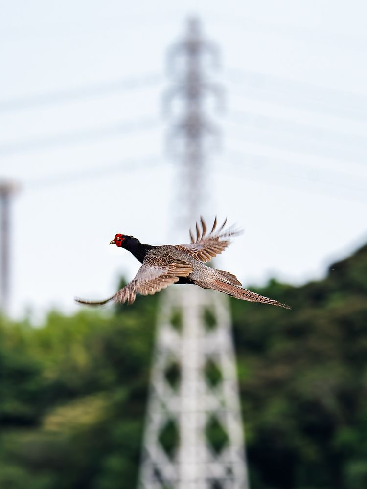 Photograph by Uesan Aliace