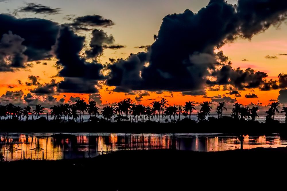 Photograph by Zinda Shaik Mohideen M