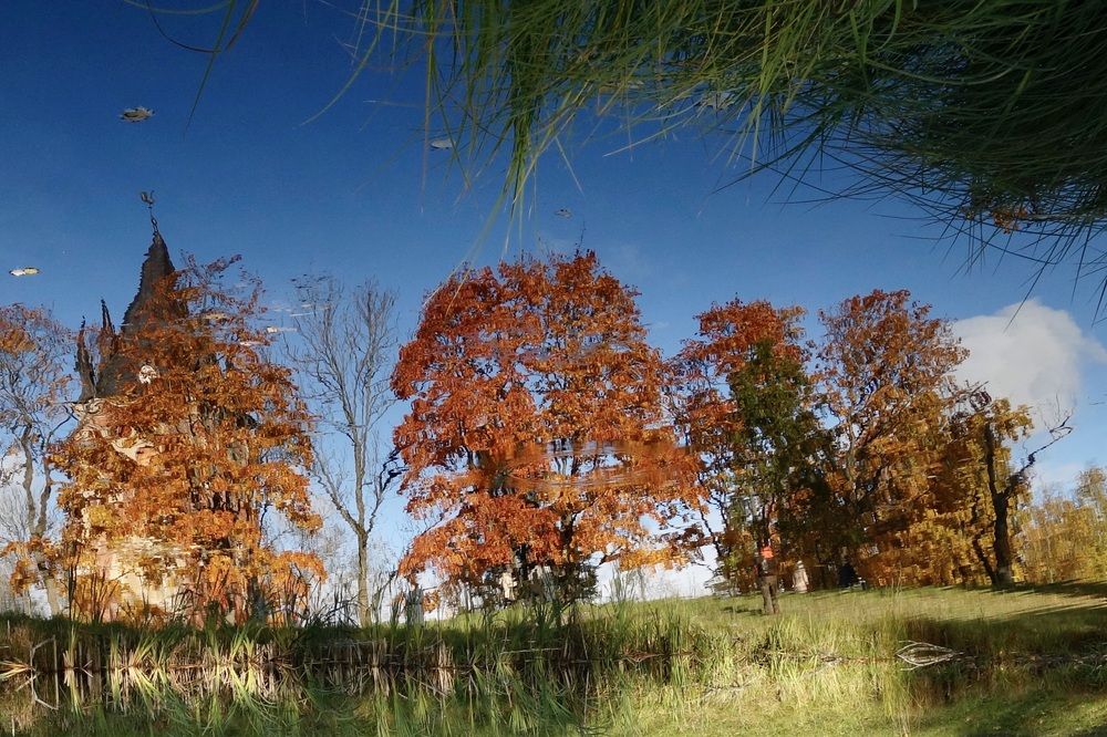 Photograph by Елена Жукова