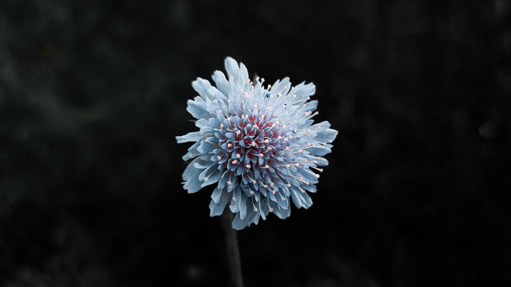Photograph by Илья Андреев