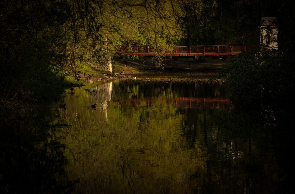 Фотография автора Aleksandr P.