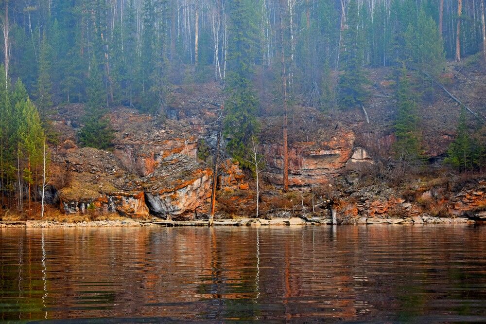 Фотография автора 