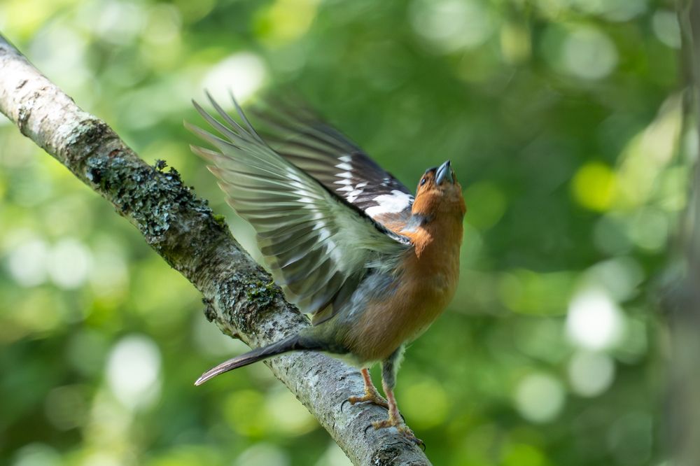 Photograph by Jakub Tulaza