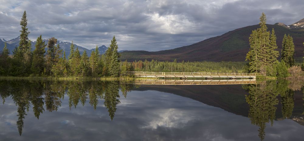 Photograph by Татьяна Тамошинская
