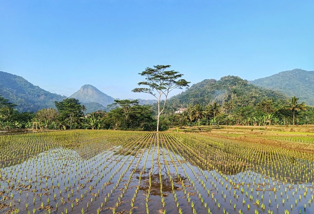 Photograph by  Oscar Simon Wiryahanjaya