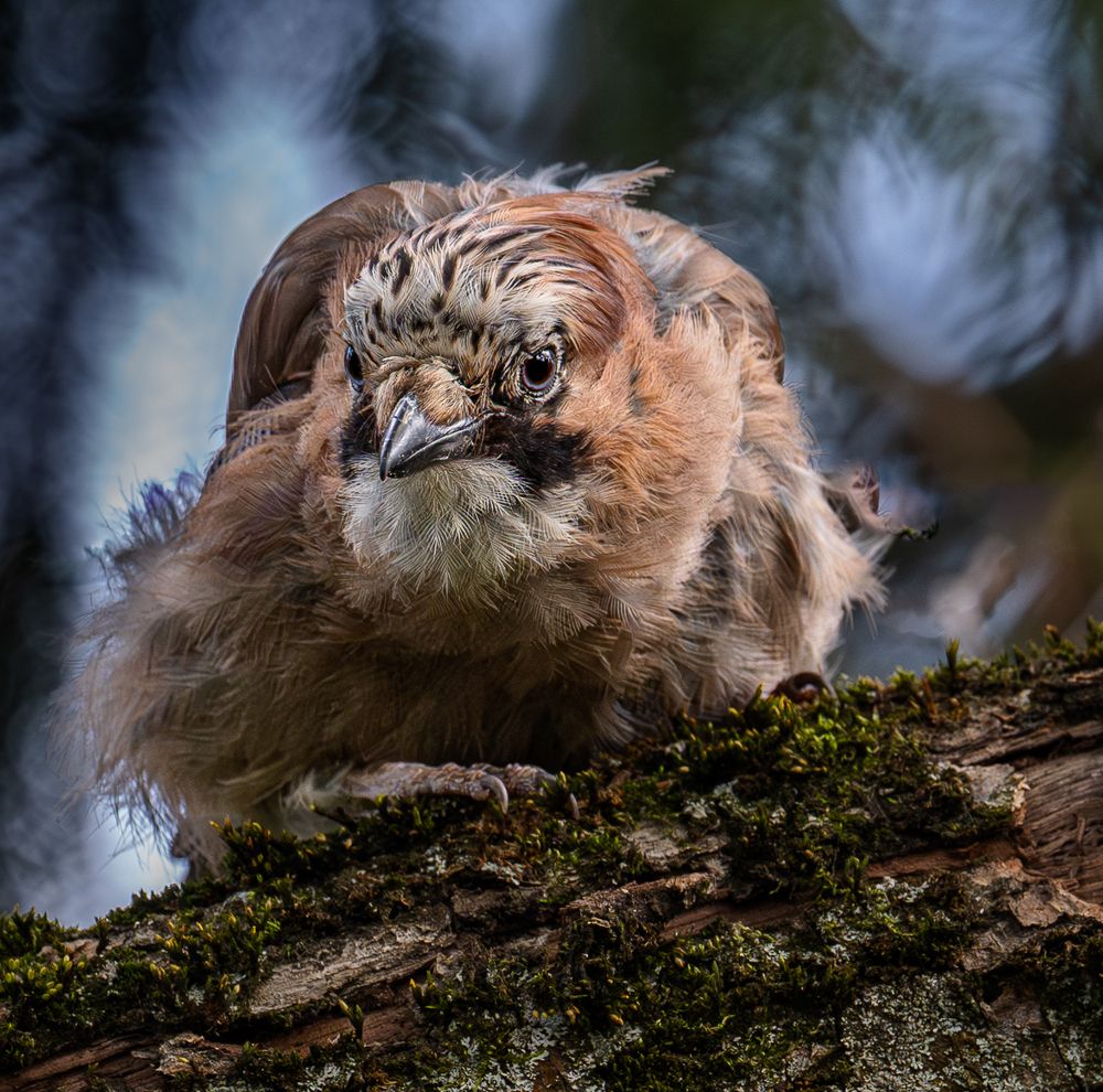 Photograph by Курлянцев Алексей