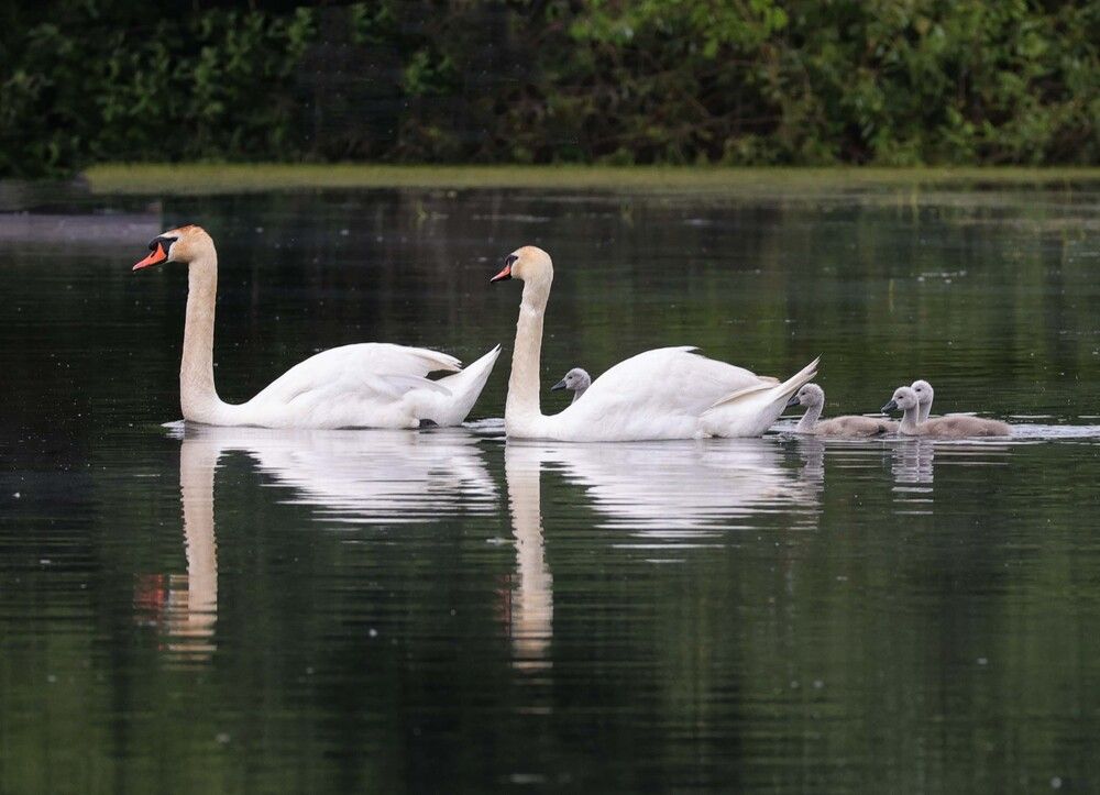 Photograph by Вера Почкалина