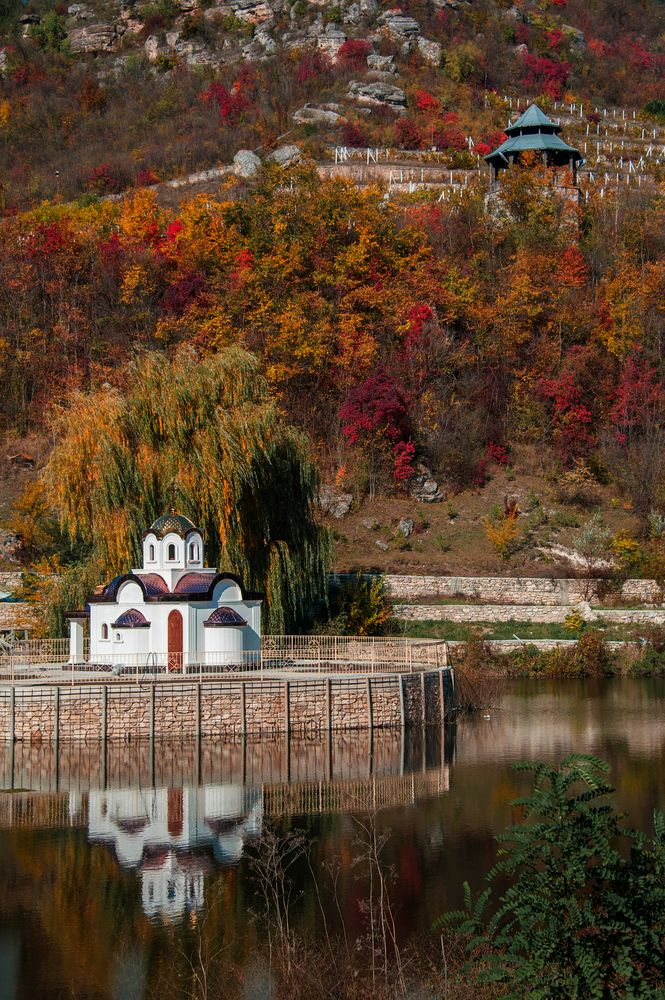 Photograph by Ирина Регульская