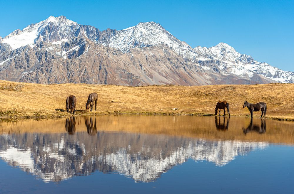 Photograph by Юрий Киреичев