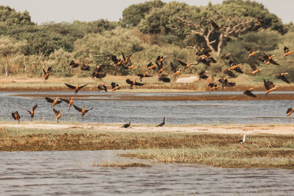Фотография автора Мария Сурмачева