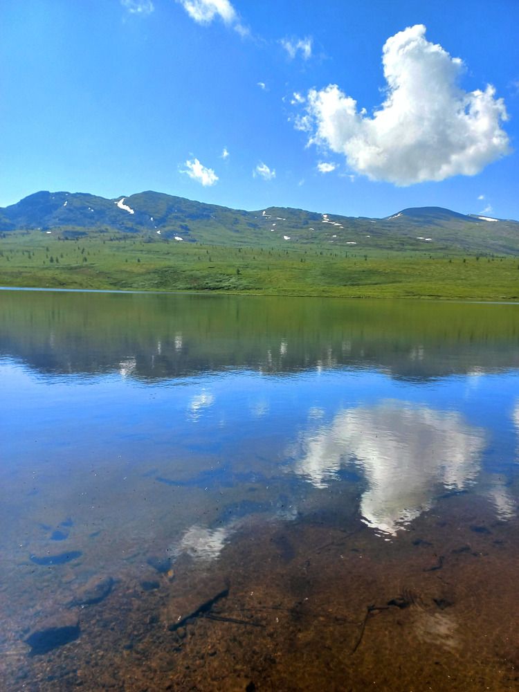 Photograph by Елена Савчук