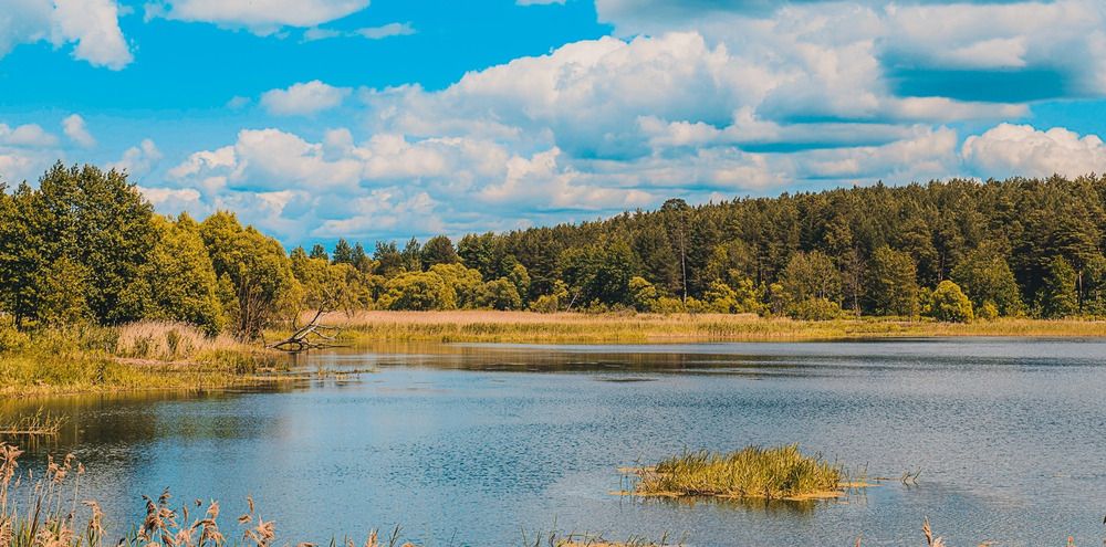 Фотография автора Николай Гришин