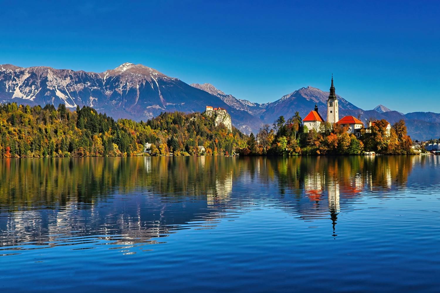 Фотография #12321174