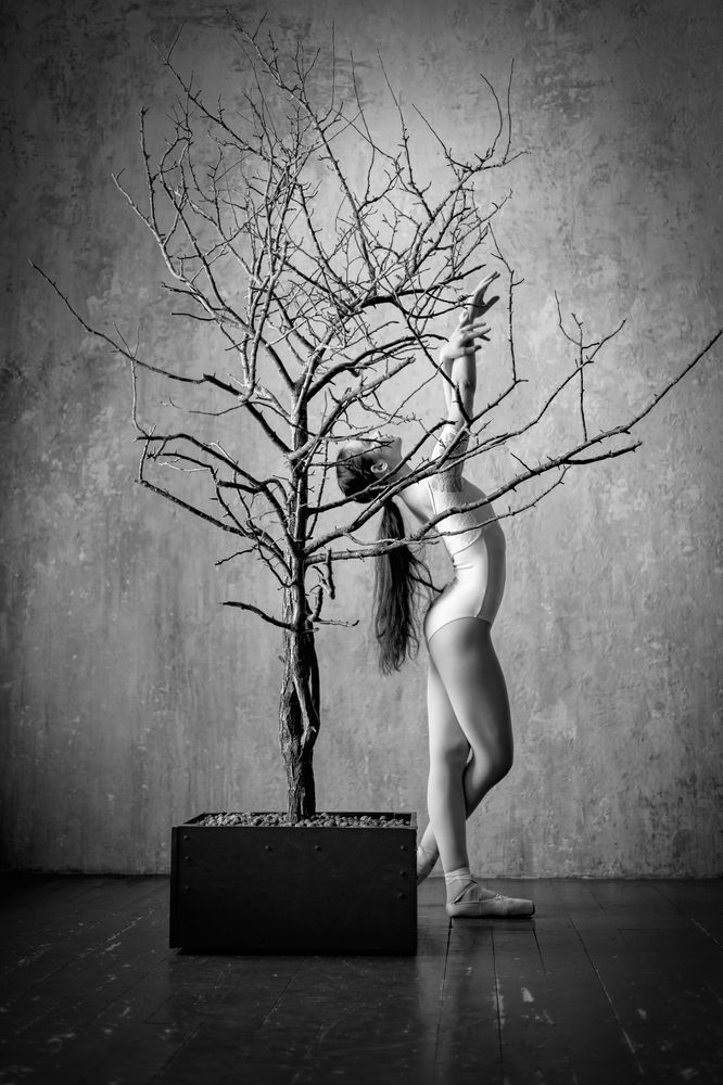 Photograph by Елена Евдокимова