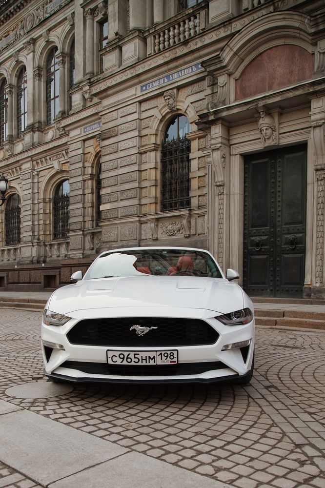 Photograph by Анастасия Шаехова