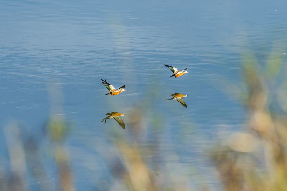 Photograph by Анатолич