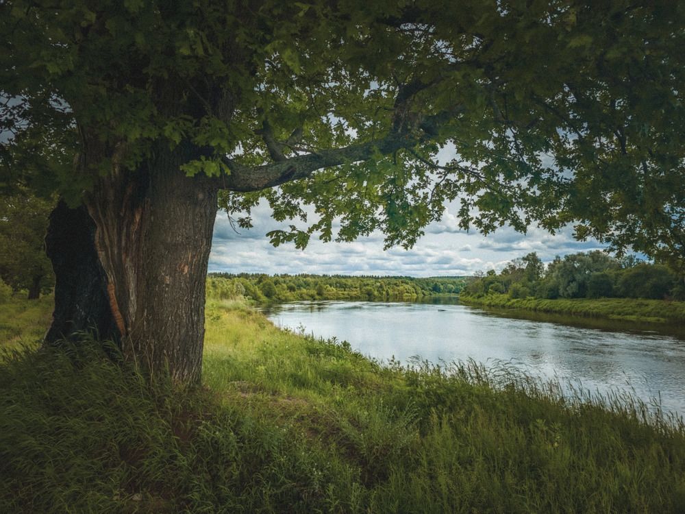 Photograph by Кирилл Сидоров