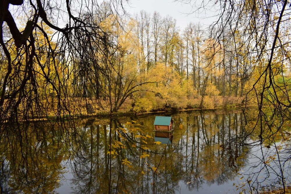 Photograph by Виктория Дремо