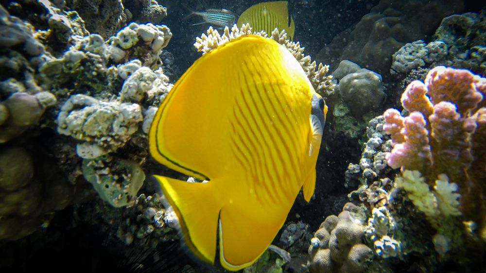 Photograph by Юлия