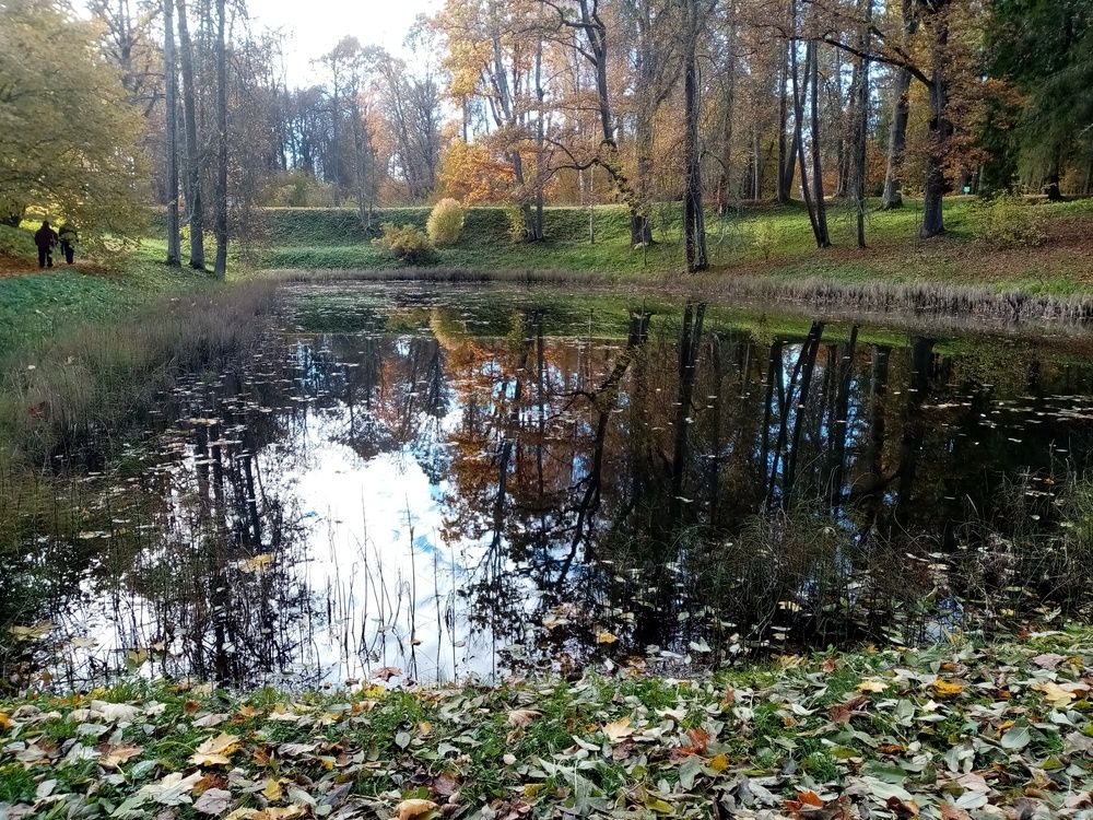 Photograph by Наталья Терентьева