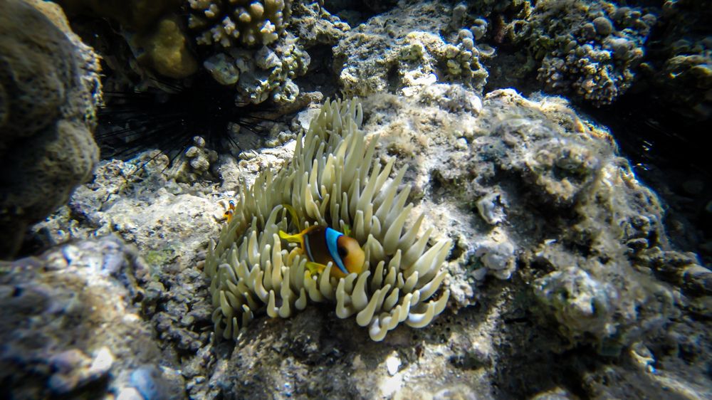 Photograph by Юлия