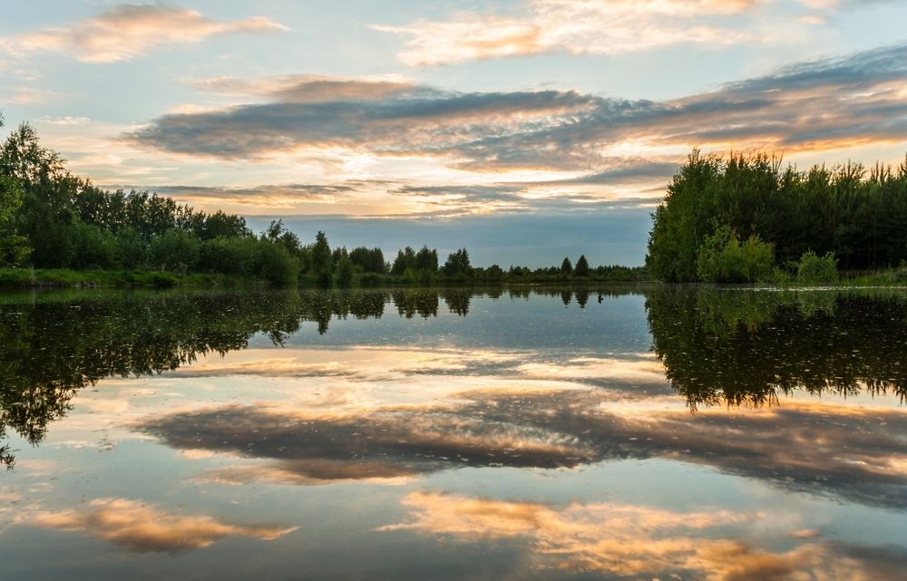 Photograph by Андрей Папанов