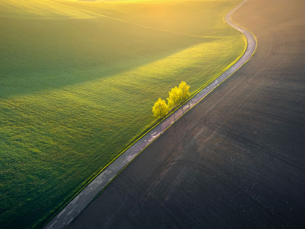 Photograph by Rumen Tzonchev