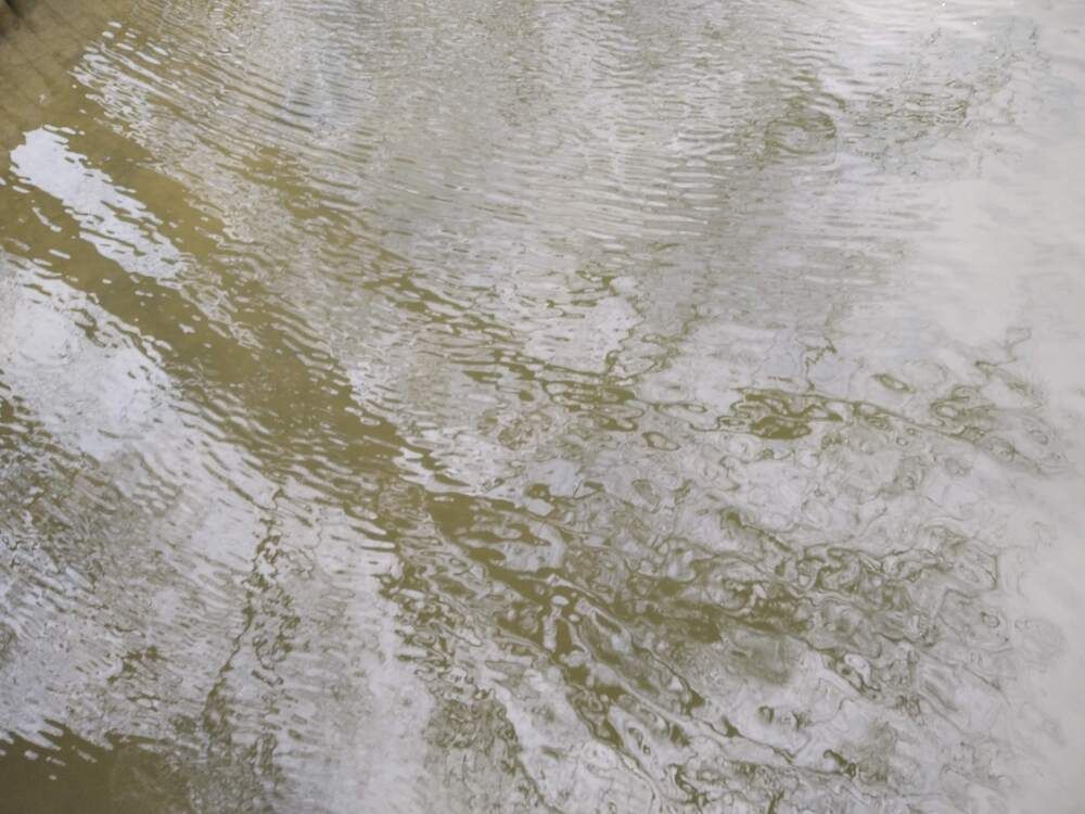 Photograph by Галина Трофимова