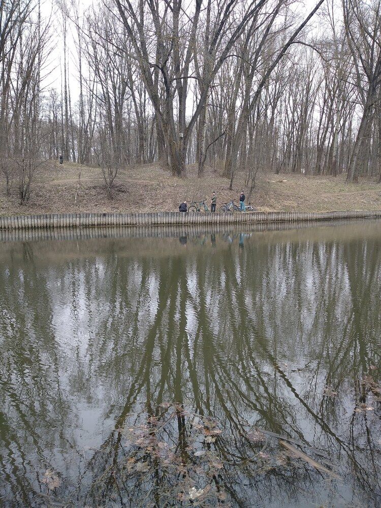 Photograph by Галина Трофимова