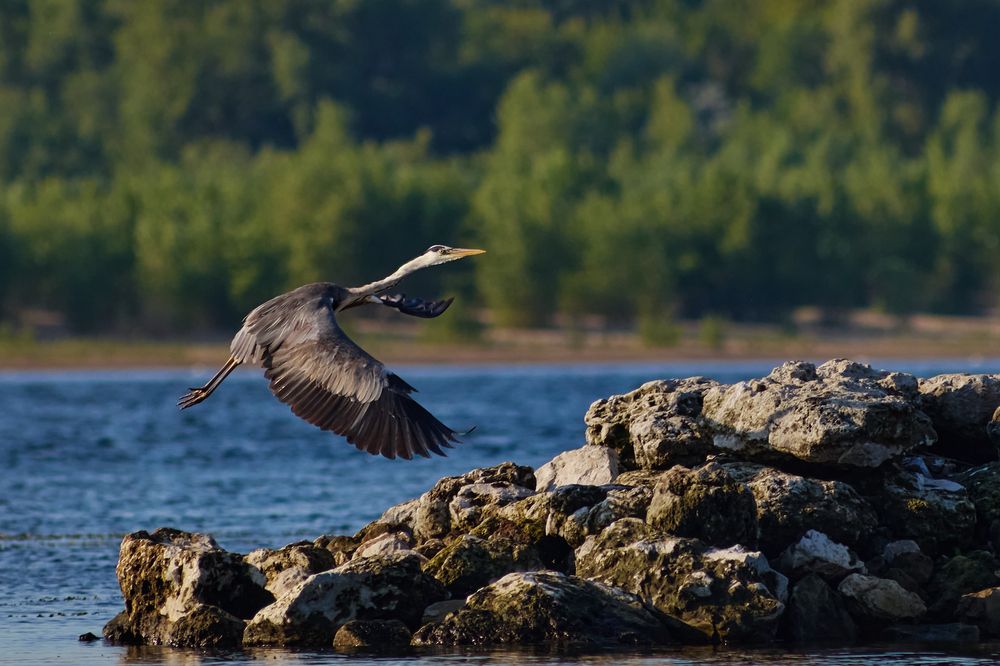 Photograph by Андрей Аксёнов