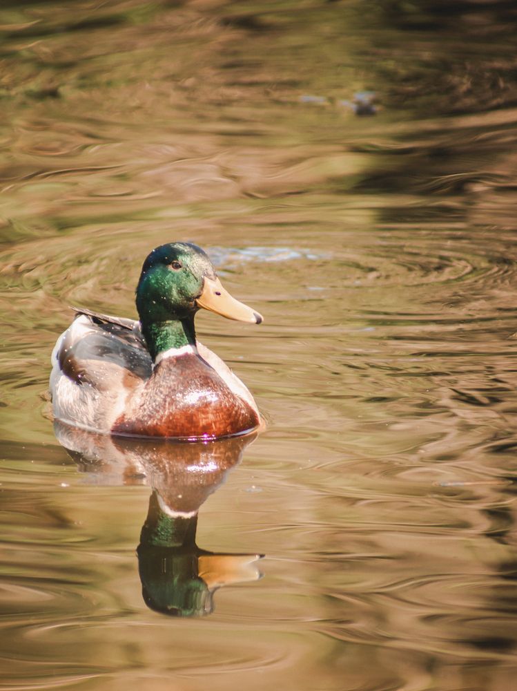 Photograph by Liudmila Kirillova