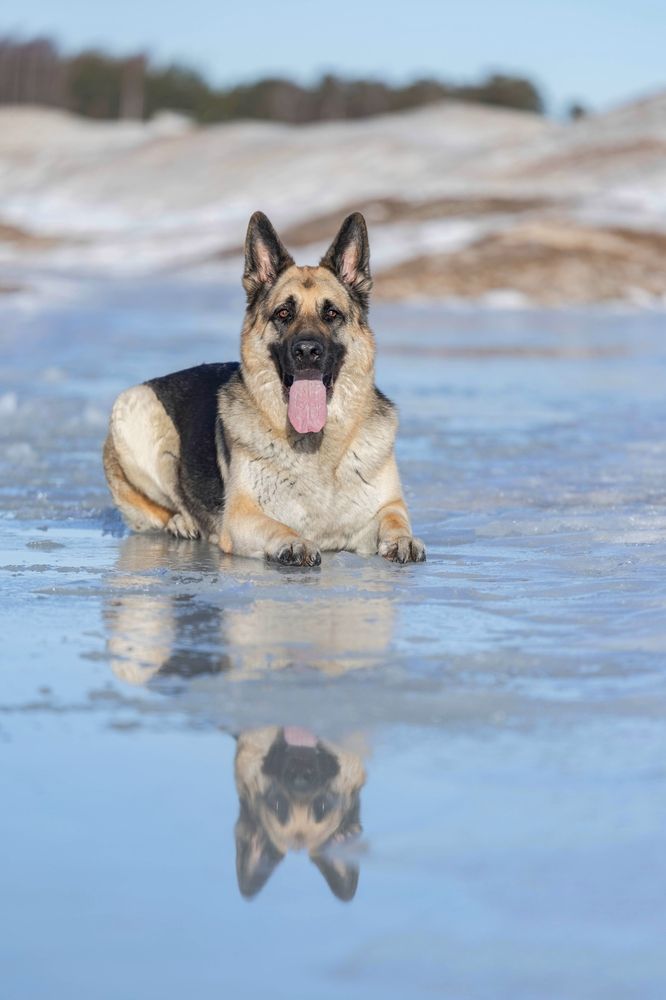 Photograph by Татьяна